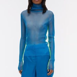 Helmet Lang Sheer Ribbed Turtleneck